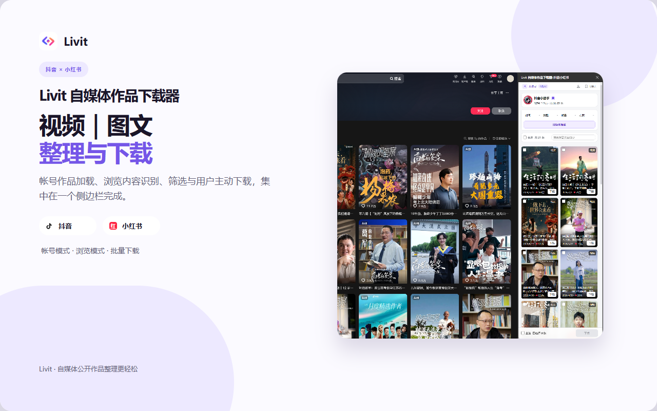 Livit 作品下载器批量整理抖音与小红书作品素材